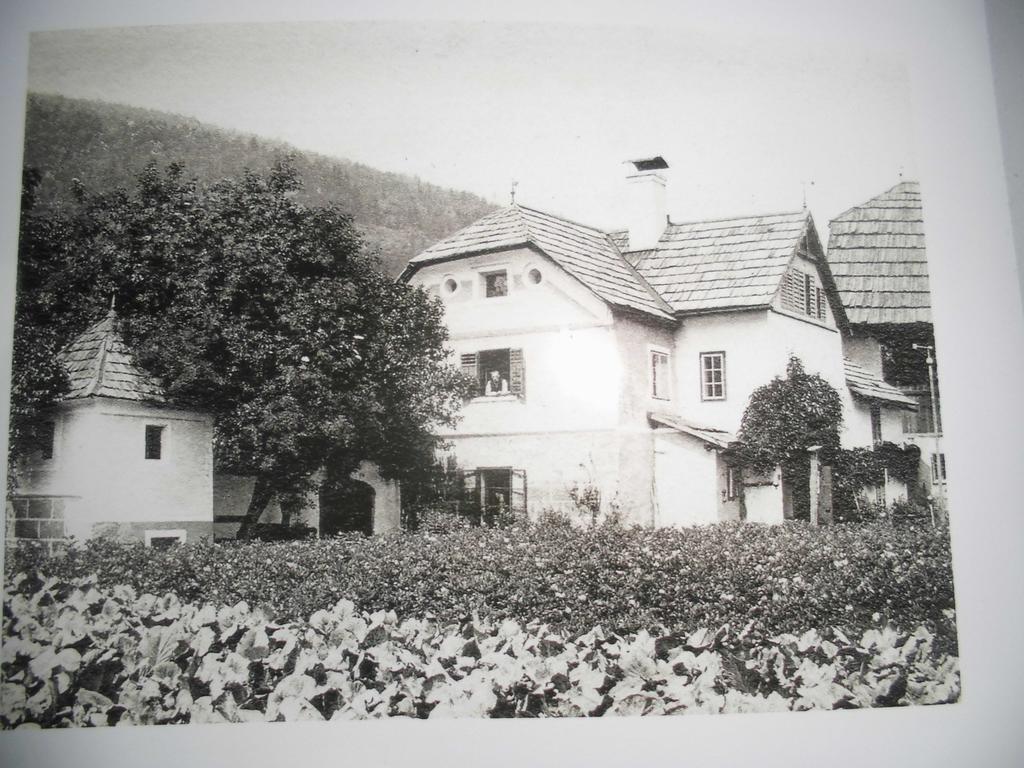Pension & Ferienwohnung Dullnig Gmund in Karnten Bagian luar foto