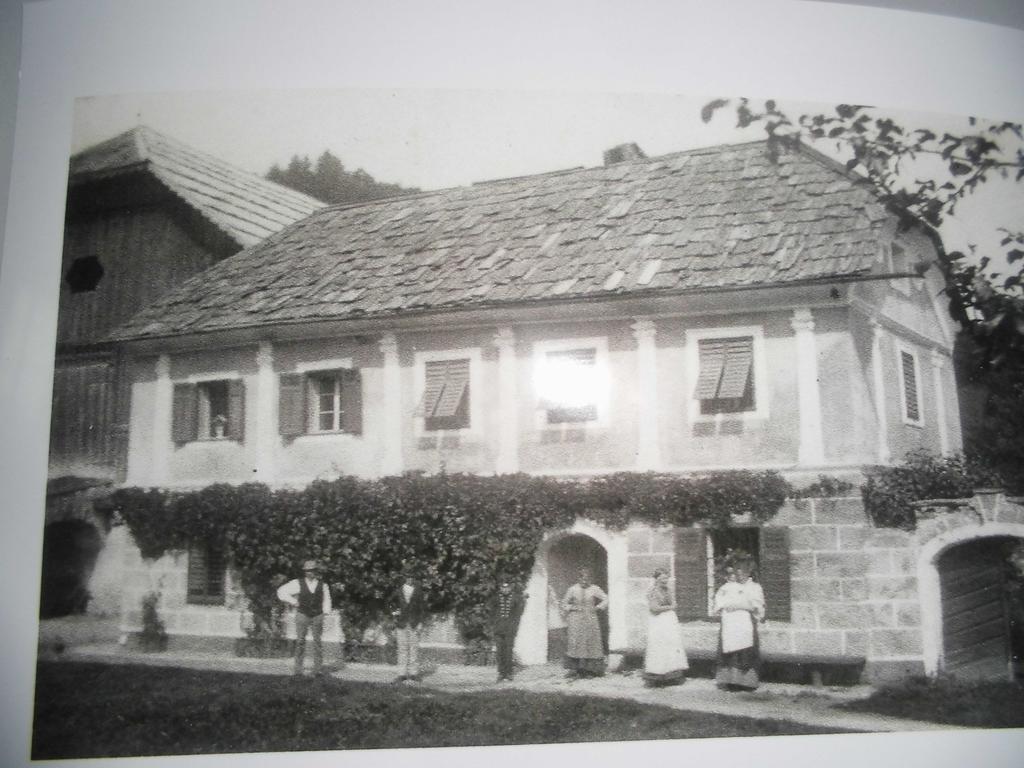 Pension & Ferienwohnung Dullnig Gmund in Karnten Bagian luar foto
